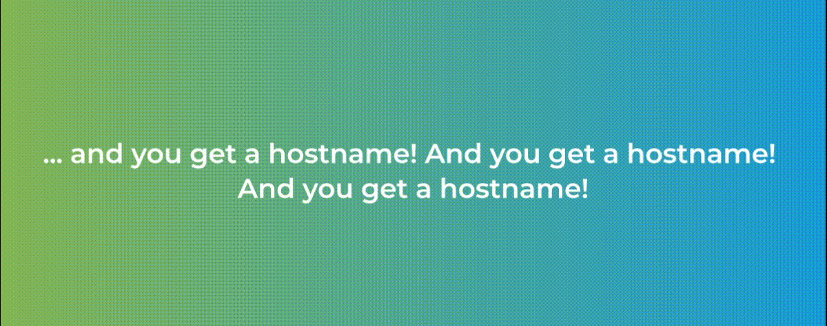 … and you get a hostname! And you get a hostname! And you get a hostname!