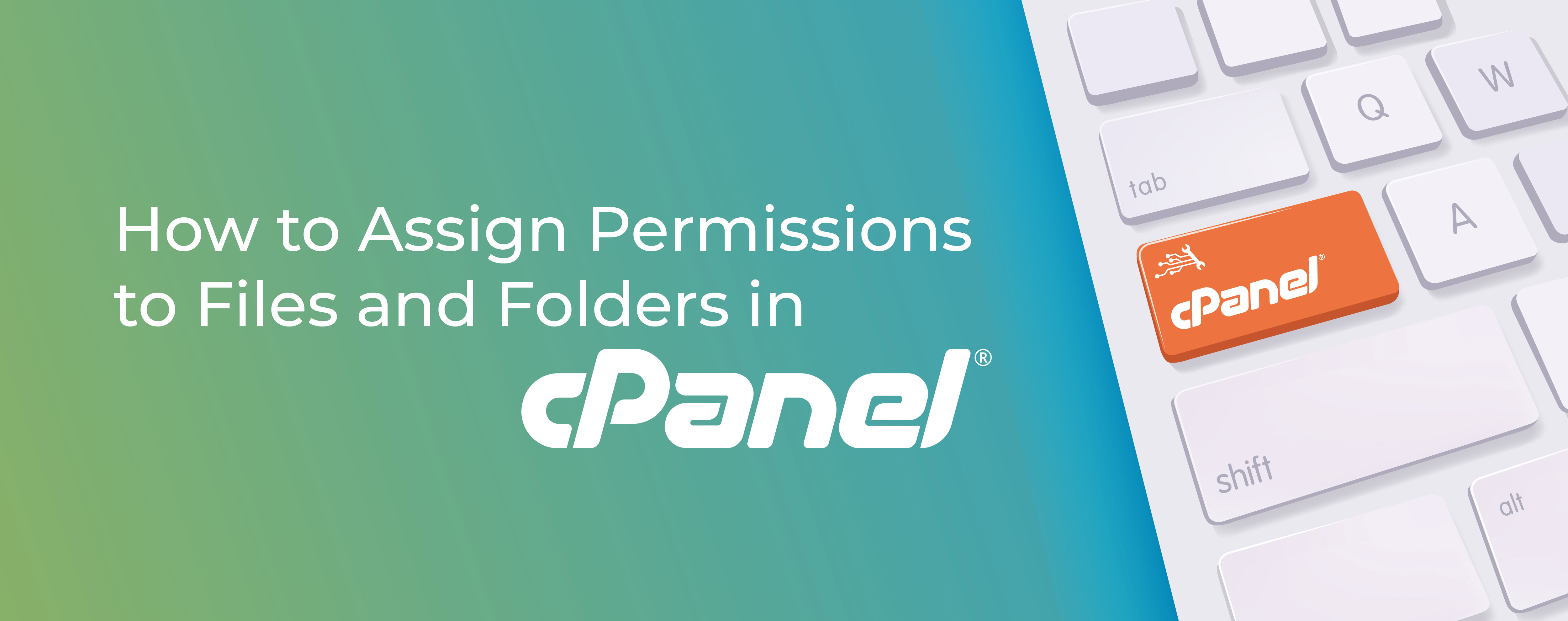 How To Assign Permissions To Files And Folders In Cpanel Cpanel Blog